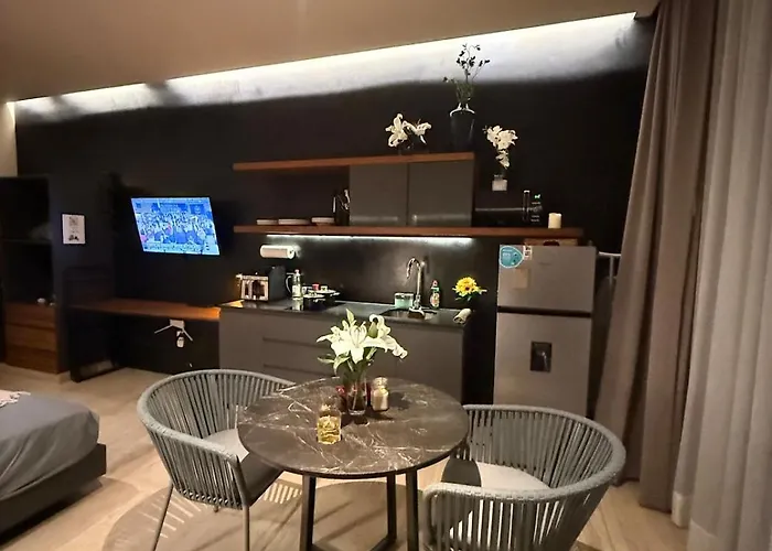 Luxury For 4 Rooftop Pool Near 5th Ave Playa De Carmen