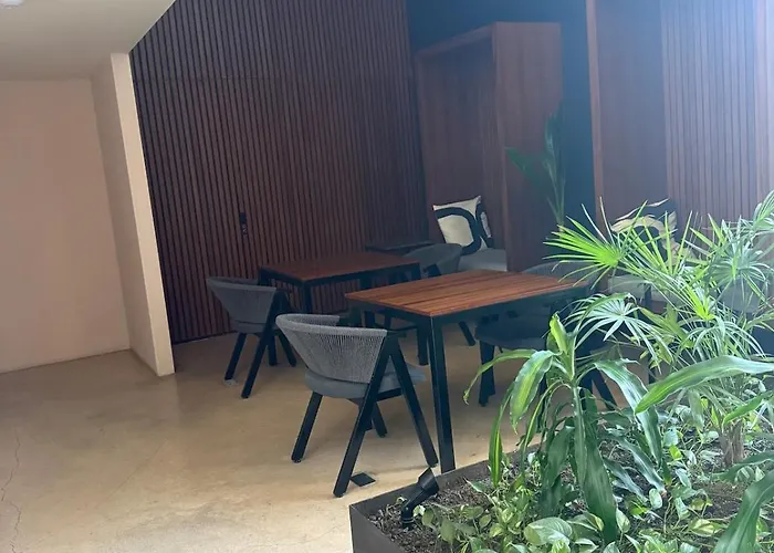 Luxury For 4 Rooftop Pool Near 5th Ave Playa De Carmen