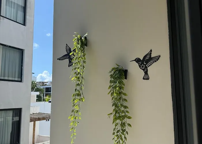 Luxury For 4 Rooftop Pool Near 5th Ave Playa De Carmen